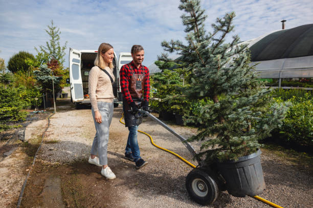 Best Tree Stump Removal  in USA